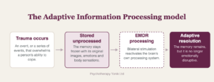 Four stages of the Adaptive Information Processing model: trauma occurs, stored unprocessed, EMDR processing, adaptive resolution